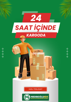 24 Saat İçinde Kargoda