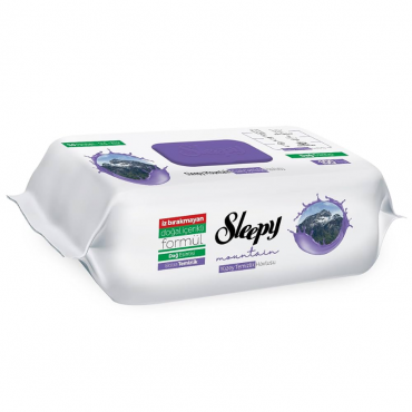 Sleepy Yüzey Temizlik Havlusu Dağ Esintisi 100'lü